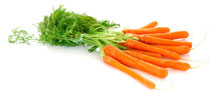 carrot
